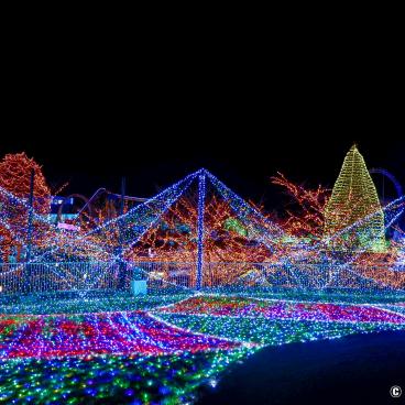 Winter night illuminations in Yomiuriland 2