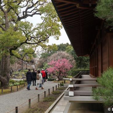 Jonan-gu Shrine (Southern Kyoto)