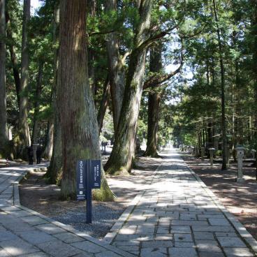 Okuno-in Cemetery in Koya-san, Alleys