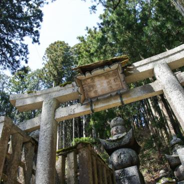 Okuno-in Cemetery in Koya-san 2