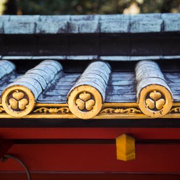 Kunozan Toshogu (Shizuoka), Detail of the ornamentations