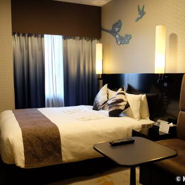 The Royal Park Hotel Kyoto Shijo, Standard Double Room