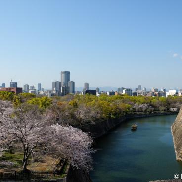 Osaka Castle (Kansai), View on the blooming cherry trees and the moats
