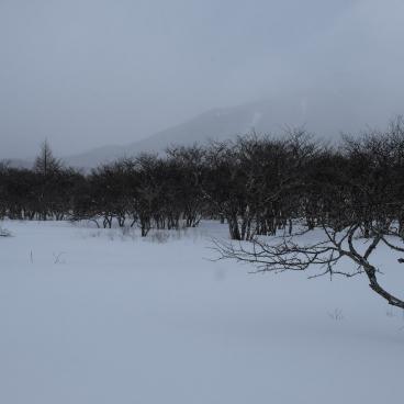 Senjogahara (Nikko), the marshland in winter 2
