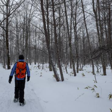Senjogahara (Nikko), A visitor snowshoeing in the marshland