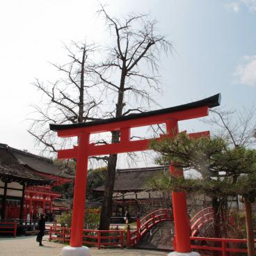 Shimogamo-jinja (Kyoto), Torii gate and bridge above Mitarashi-ike Pond