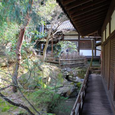 Shoren-in (Kyoto), View on the garden 3