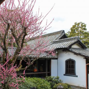 Shoren-in (Kyoto), View on the garden 4 