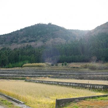 Takashima, Rice paddies