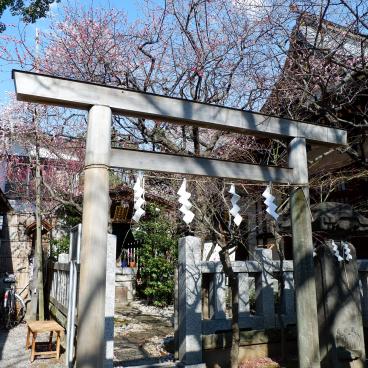 Ushi-Tenjin Kitano-jinja shrine in Tokyo 2