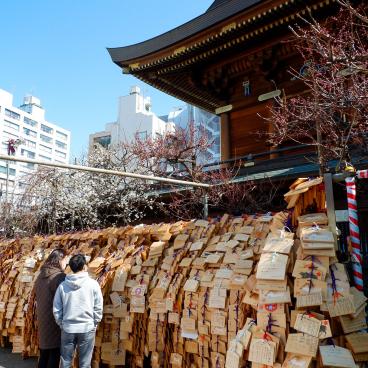 Yushima Tenman-gu, Ema votive plates