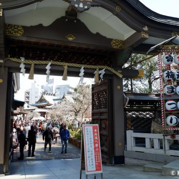 Yushima Tenman-gu, Entrance during Ume Matsuri