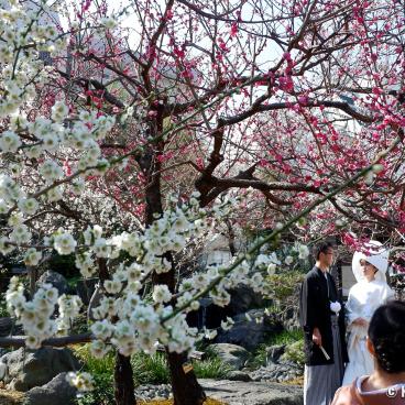 Yushima Tenman-gu, Shinto wedding ceremony