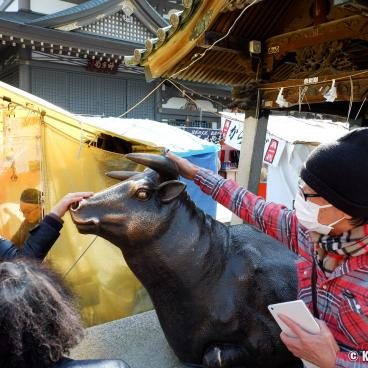 Yushima Tenman-gu, Statue of Tenjin's messenger ox