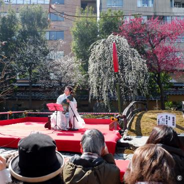 Yushima Tenman-gu (Tokyo), Traditional music concert during Ume Matsuri