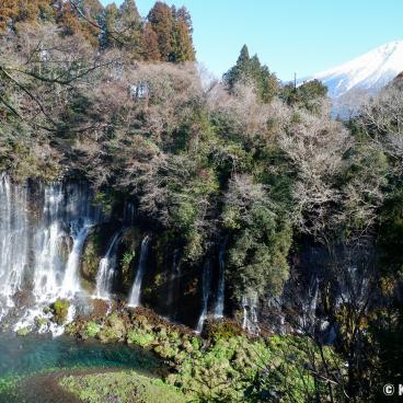 Shiraito Falls and Mount Fuji in Fujinomiya (Shizuoka)
