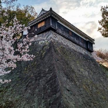 Kumamoto Castle, View on a turret during sakura season
