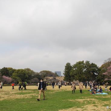 Kokyo Higashi Gyoen (Tokyo) during sakura season 4