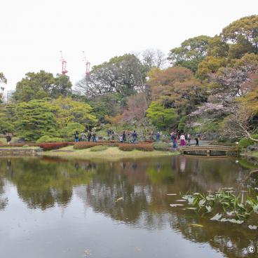 Kokyo Higashi Gyoen (Tokyo), Ninomaru Japanese Garden