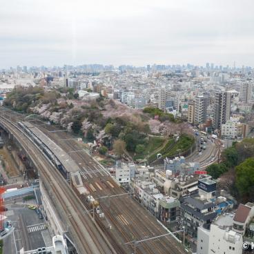View on Asukayama Park and the railways from Hokutopia