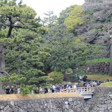 Inui-dori, View on the alley