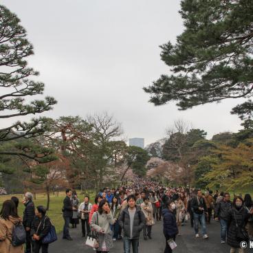 Inui-dori, View on the alley 2