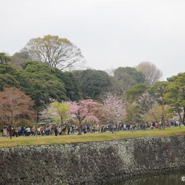 Inui-dori, View on the alley 3