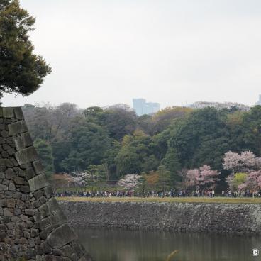 View on Inui-dori street in spring