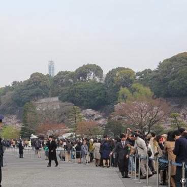 Inui-dori, Waiting line