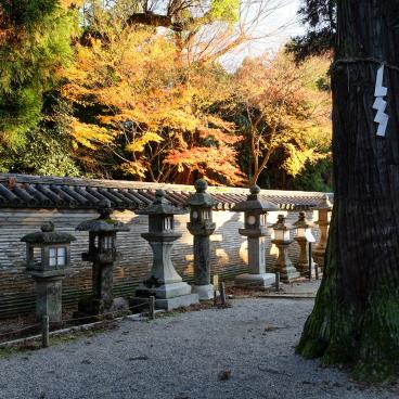 Iwashimizu Hachiman-gu Shrine in autumn
