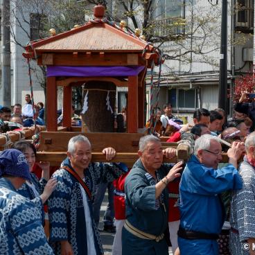 Kanamara Matsuri, Dai-mikoshi parading