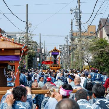 Kanamara Matsuri, View on the mikoshi procession
