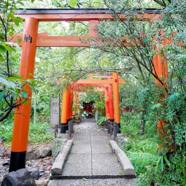 Hirano-jinja (Kyoto), Torii gates