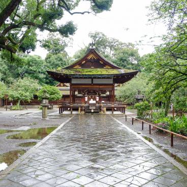 Hirano-jinja (Kyoto), Haiden pavilion before its destruction (July 2018) 2