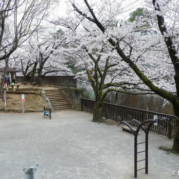 Shakujii-gawa (Tokyo), Otonashi Kunugi Ryokuchi Park (Otonashi Kunugi Green Park)