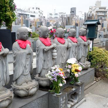 Shakujii-gawa (Tokyo), Kongo-ji temple's cemetery