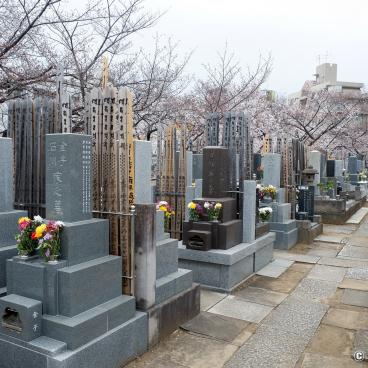 Shakujii-gawa (Tokyo), Kongo-ji temple's cemetery 2
