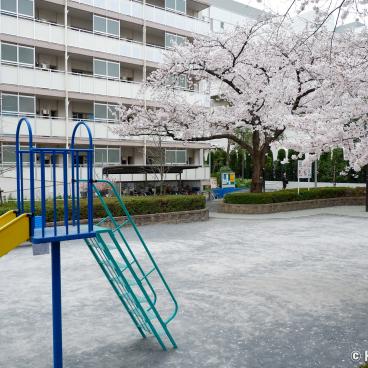 Toden Arakawa, Residential area near Arakawa Nanachome station on Tokyo Sakura Tram Line