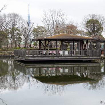 Toden Arakawa, Shizen Koen Park at Arakawa Nichome station on Tokyo Sakura Tram Line