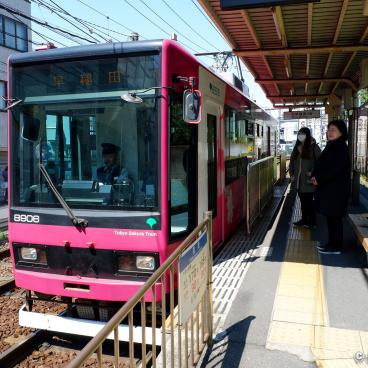Toden Arakawa, Tokyo Sakura Tram
