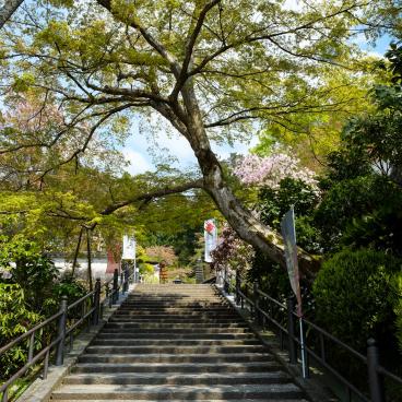 Oka-dera (Asuka), Stone stairway in spring