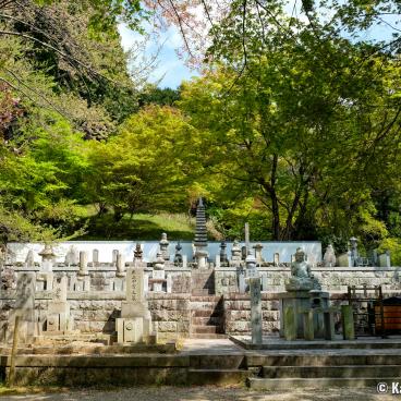 Oka-dera (Asuka), Buddhist cemetery in spring