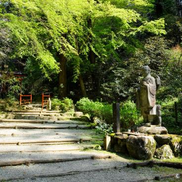 Oka-dera (Asuka), Temple's grounds in spring and Shinto torii 2