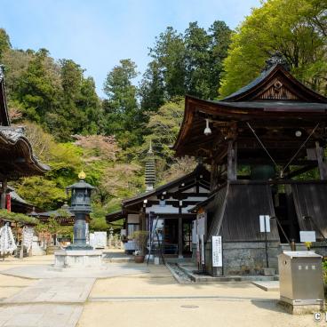 Oka-dera (Asuka), Temple's grounds in spring and Shoro-do Bell tower