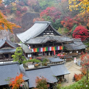 Oka-dera (Asuka), View on the temple's pavilions in autumn