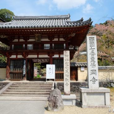 Oka-dera (Asuka), Niomon Gate in spring