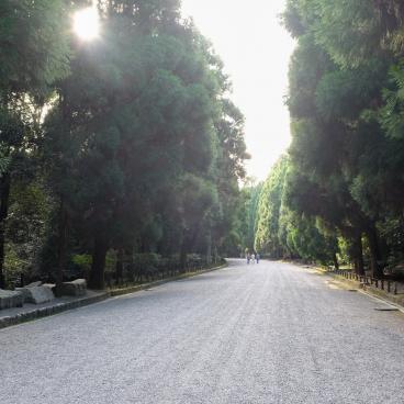 Park of Fushimi-Momoyama Castle (Kyoto) 3