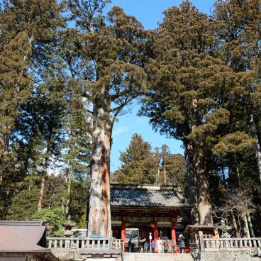 Nikko, A gate in the vicinity of Futarasan-jinja