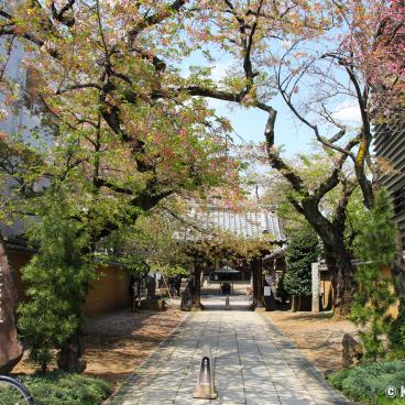 Hana Matsuri in Araibakushi Baisho-in temple (Tokyo), Entrance in Nakano