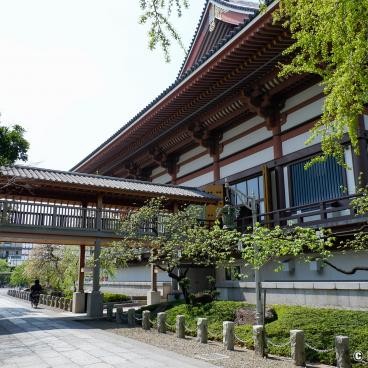 Hana Matsuri in Nishiarai Daishi temple (Tokyo), Covered passage and access to the main hall